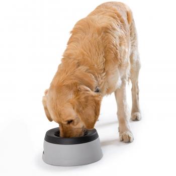 Preview: Reisenapf Road Refresher™